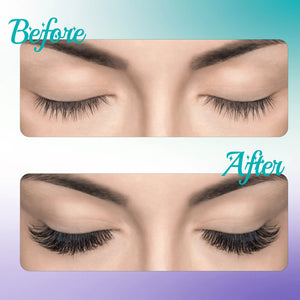 12D Pre Made Fans Lash Extensions