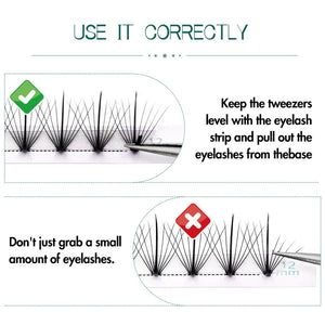 9D Spiked Lashes Promade Lash Fans 